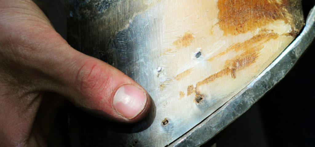 Mann hält gesunden, frisch beschlagenen Huf