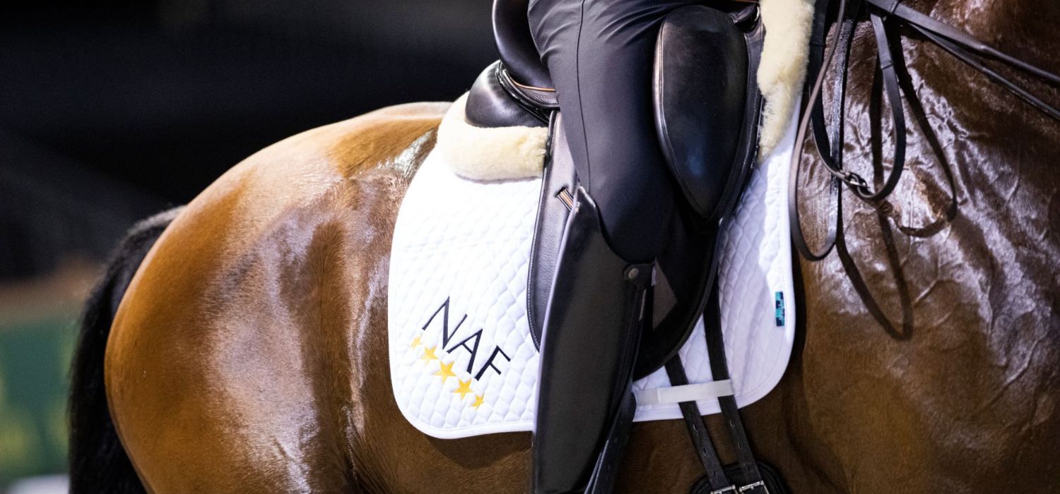 Stark schwitzendes Pferd bei Training im Sommer