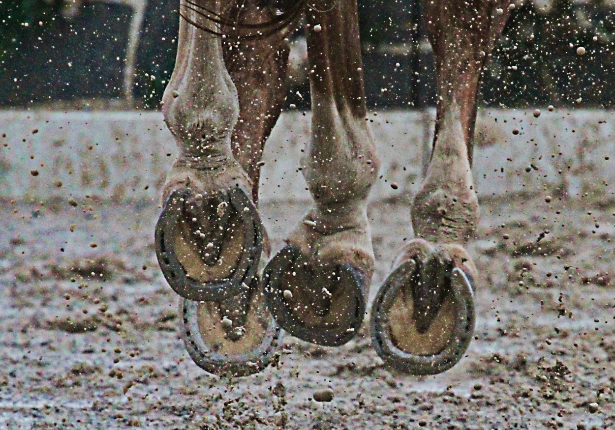 Detailbild von hinten: Pferdebeine, die durch den Matsch galoppieren