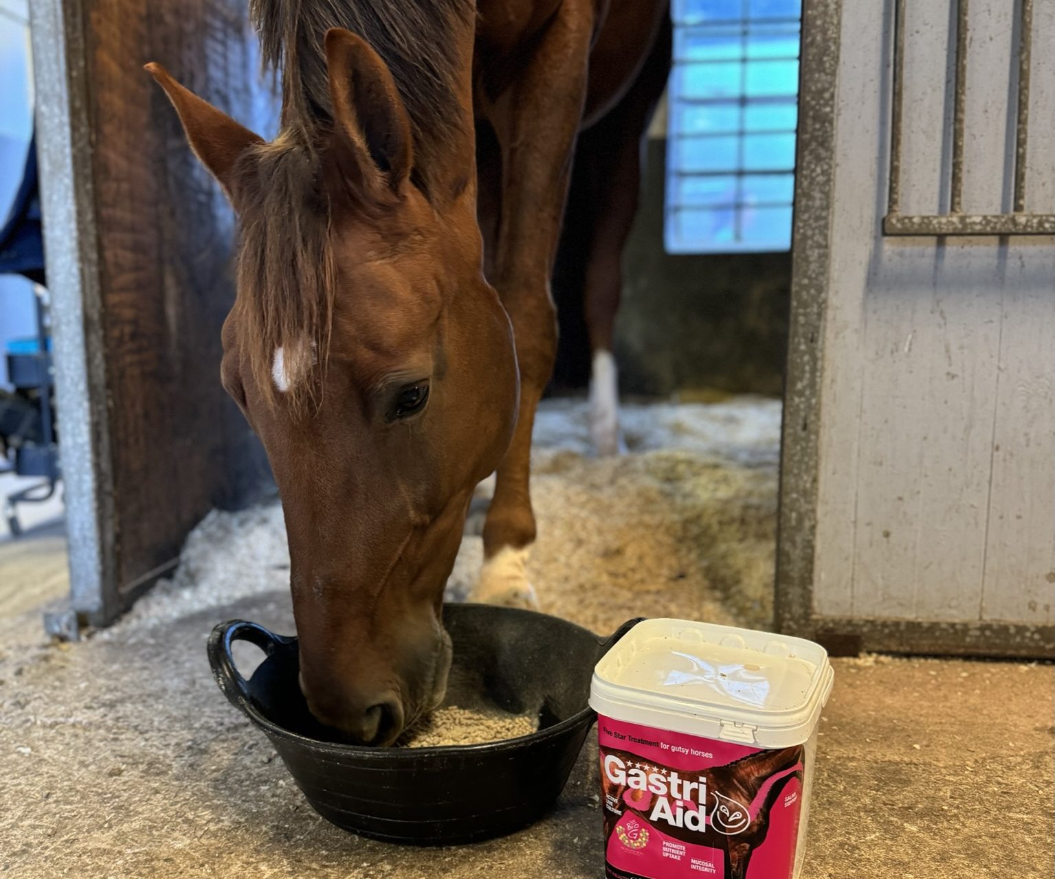 Kraftfutterration mit NAF Gastri Aid für einen gesunden Magen