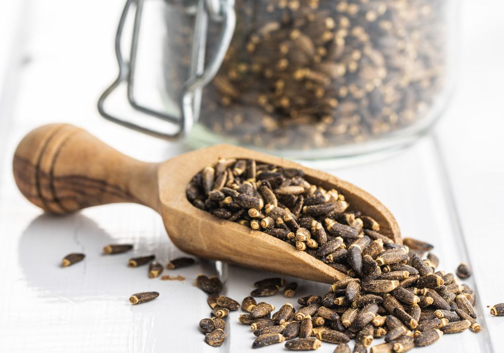 Mariendistel unterstützt Lebergesundheit und Stoffwechsel bei Pferden