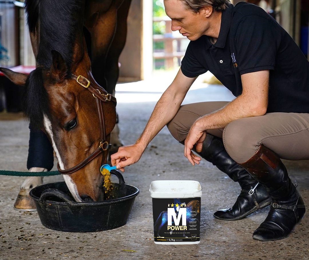 Reiter gibt NAF MPower für gesunden Muskelaufbau zum Kraftfutter