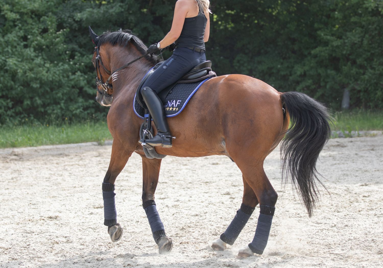 Pferd schwitzt bei Dressurtraining