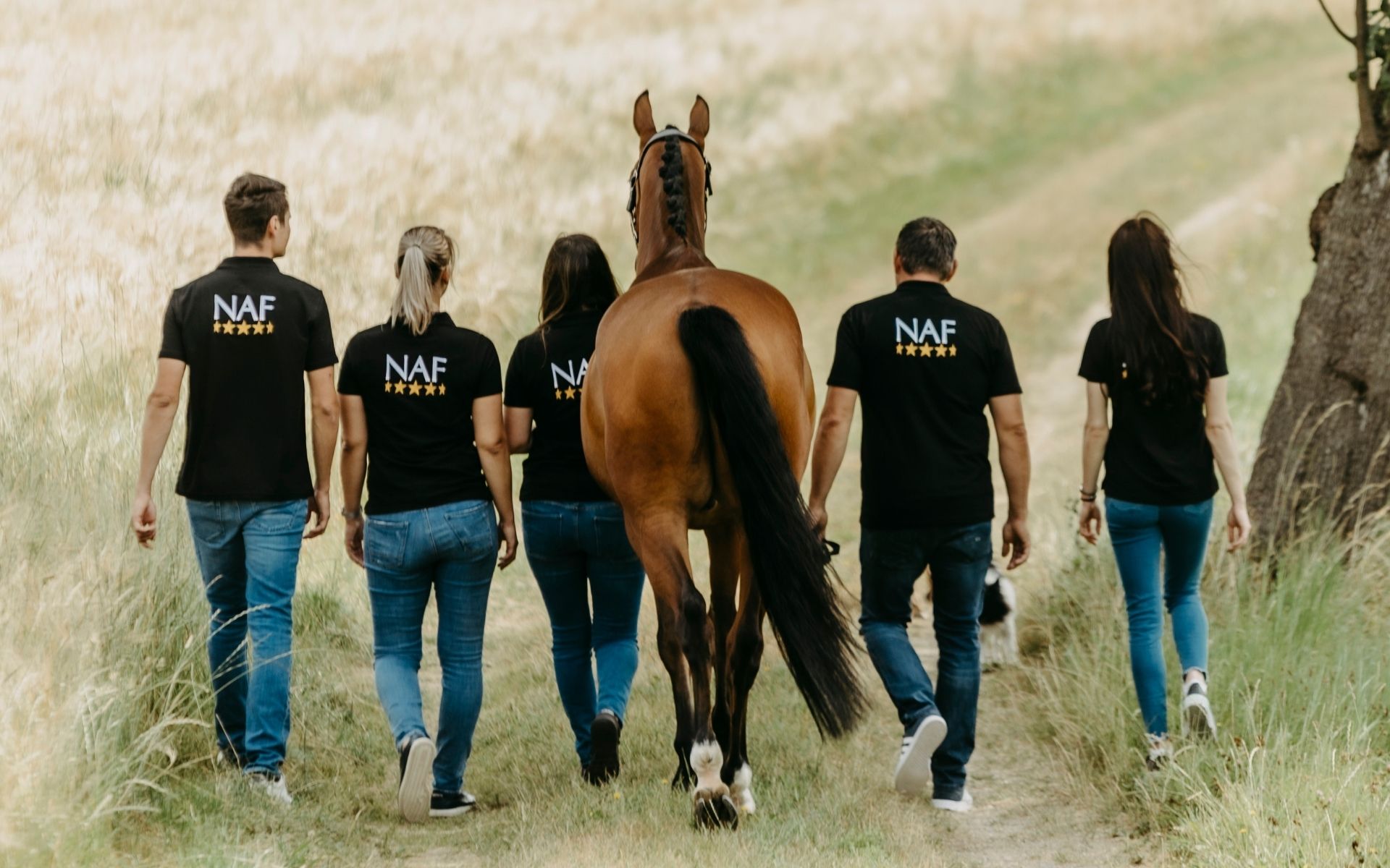 Team Pferdperfekt spaziert mit Pferd neben Feld