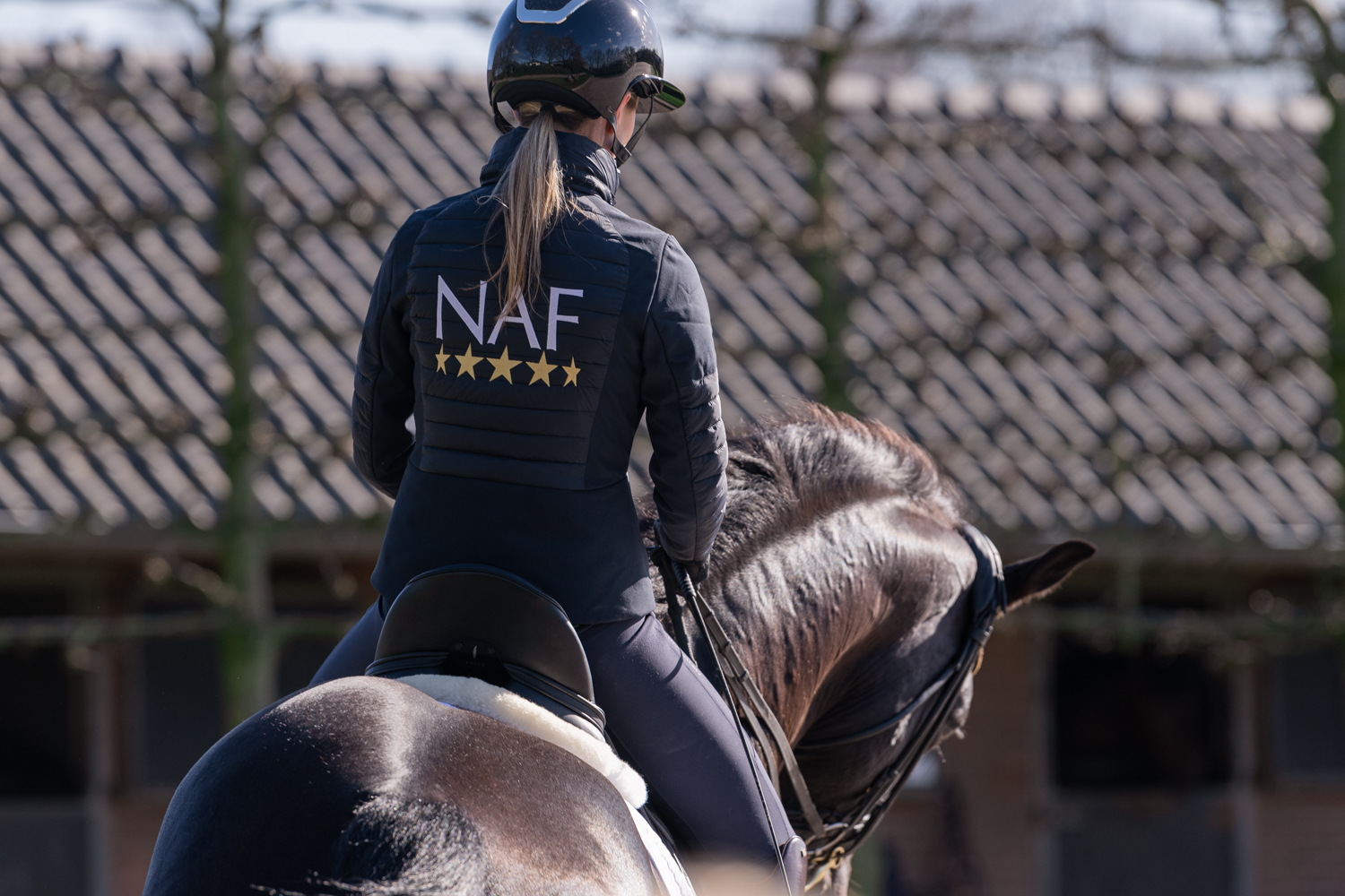 Muskelerkrankungen beim Pferd