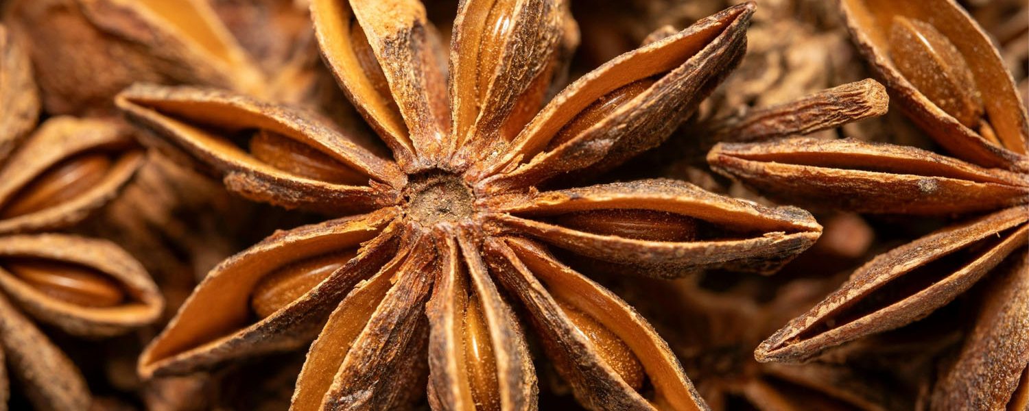 Anis für Pferde - Pferdperfekt Kräuterfibel