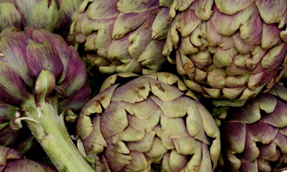 Artischocke für Pferde - Pferdperfekt Kräuterfibel