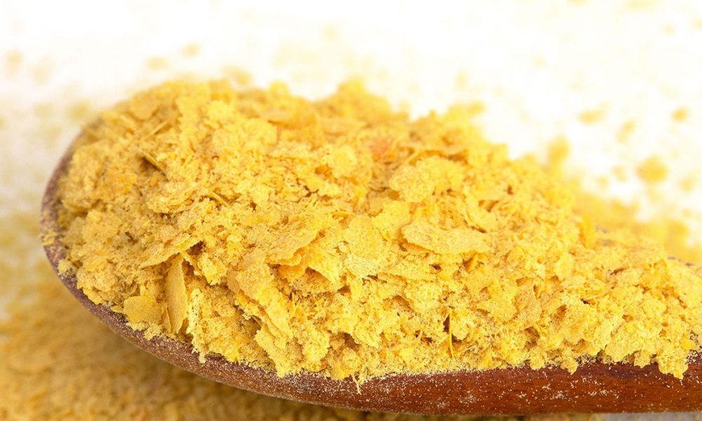 B-Vitamine für Pferde - Pferdperfekt-Kräuterfibel