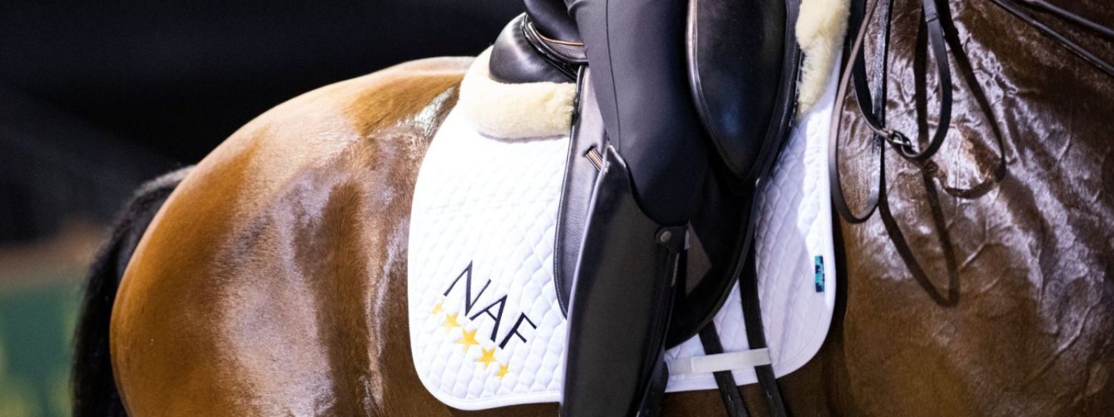 Stark schwitzendes Pferd bei Training im Sommer