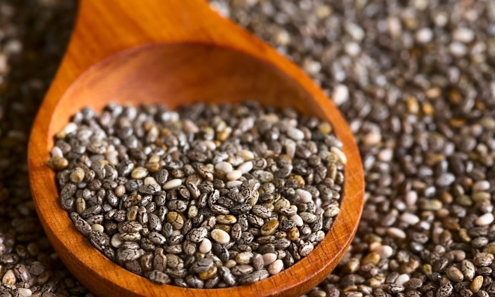 Chiasamen für Pferde - Pferdperfekt Kräuterfibel