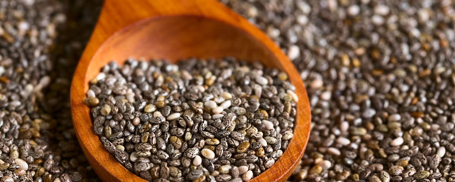 Chiasamen für Pferde - Pferdperfekt Kräuterfibel