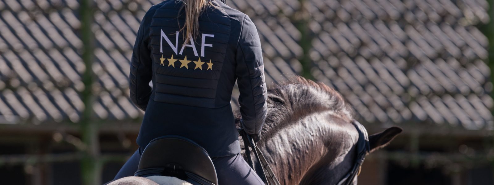 Muskelerkrankungen beim Pferd