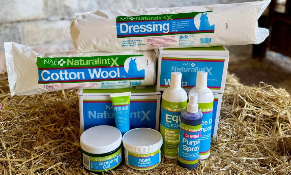 Erste-Hilfe-Sortiment von NAF NaturalintX