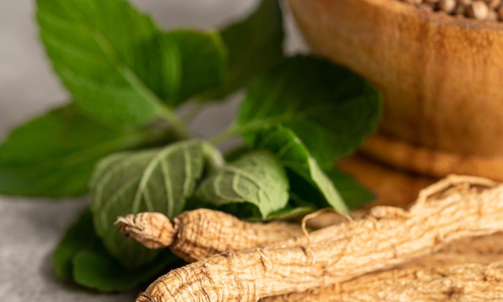 Ginseng für Pferde - Pferdperfekt Kräuterfibel