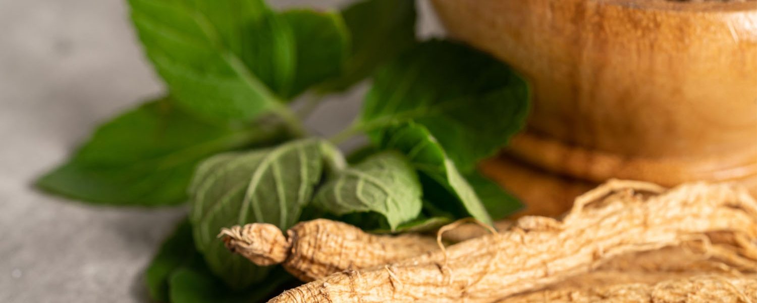 Ginseng für Pferde - Pferdperfekt Kräuterfibel