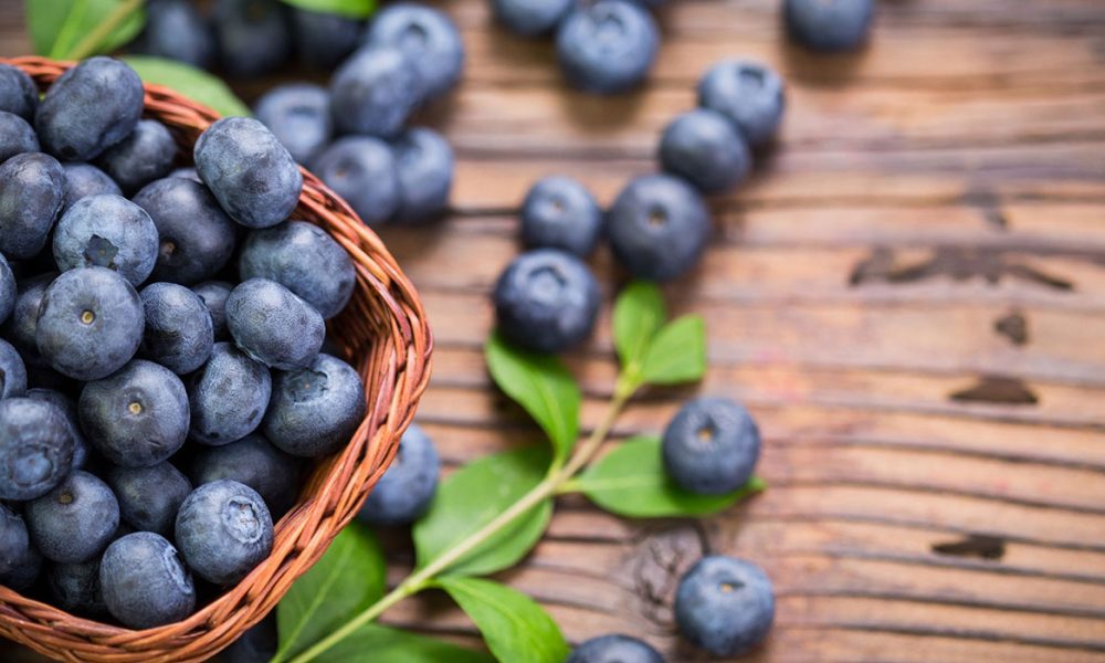 Heidelbeeren für Pferde - Pferdperfekt-Kräuterfibel