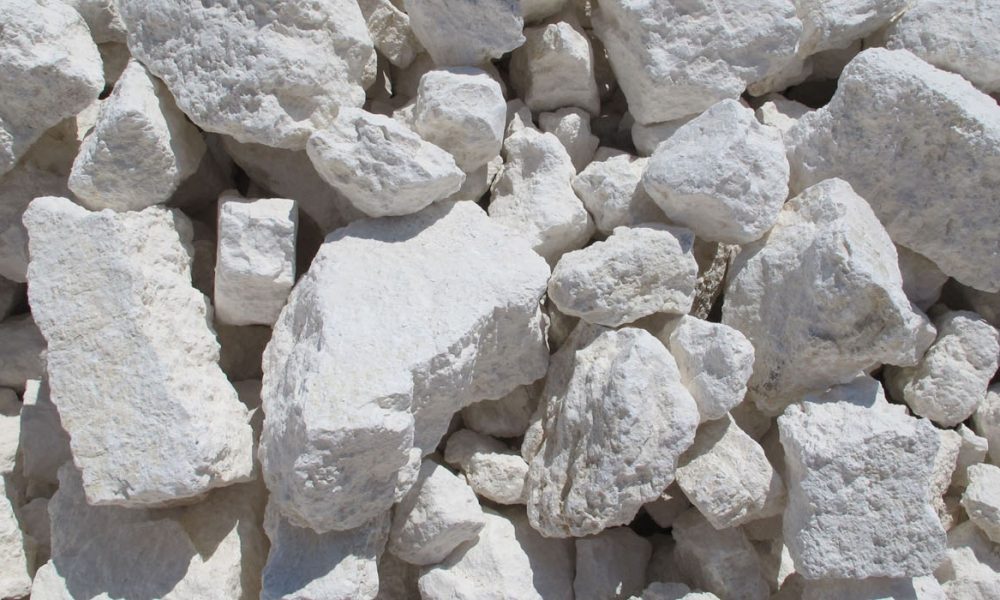 Kalzium für Pferde - Pferdperfekt Kräuterfibel