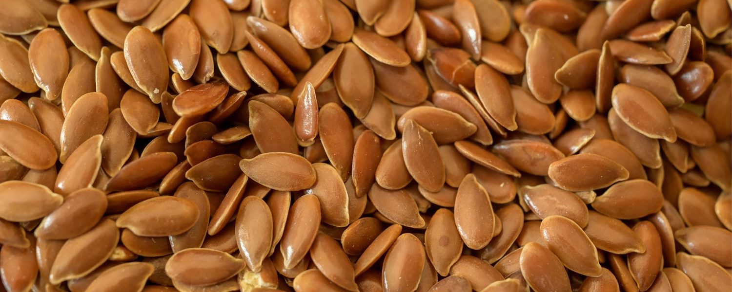 Leinsamen für Pferde - Pferdperfekt-Kräuterfibel