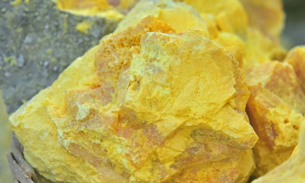 MSM für Pferde - Pferdperfekt Kräuterfibel