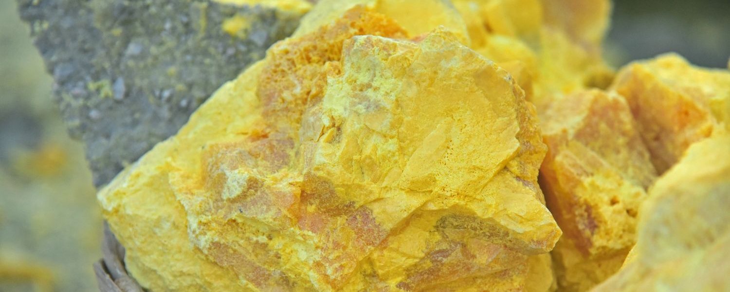 MSM für Pferde - Pferdperfekt Kräuterfibel