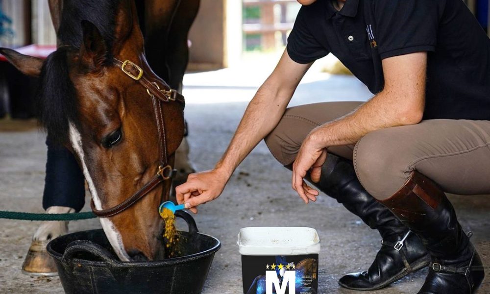 Reiter gibt NAF MPower für gesunden Muskelaufbau zum Kraftfutter