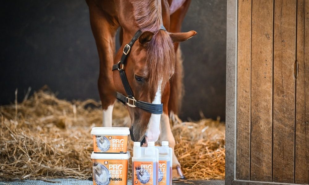 Pferd schnuppert an NAF ProFeet Zusatzfutter für die Hufe