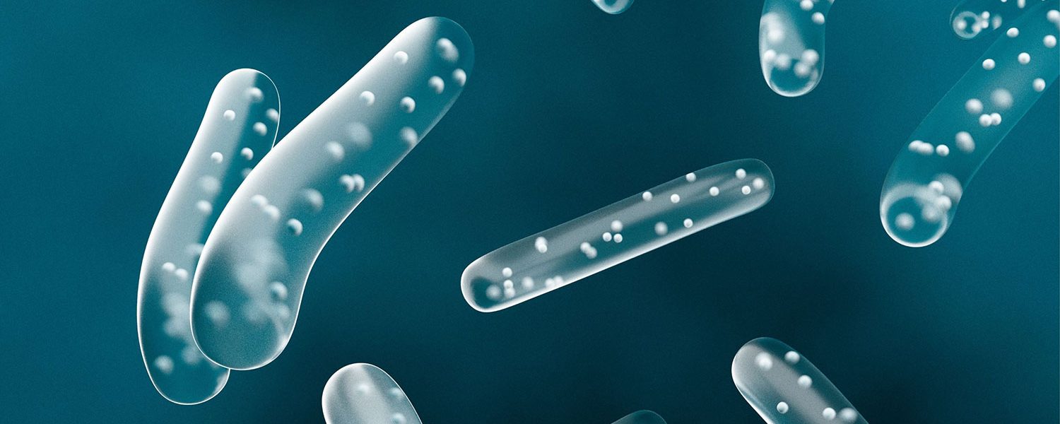 Prä- & Probiotika für Pferde - Pferdperfekt-Kräuterfibel