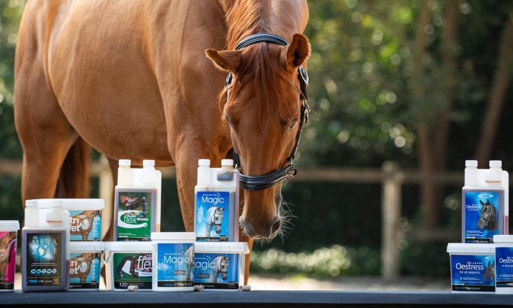 Pferd beschnuppert NAF Zusatzfutter-Sortiment